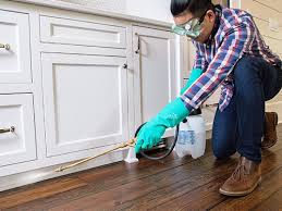 Best Pest Control for Multi-Family Homes  in USA